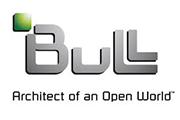 Logo bull